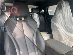 بي واي دي سيل 06 DM-i